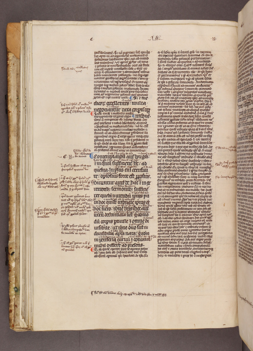 Folio 40 verso